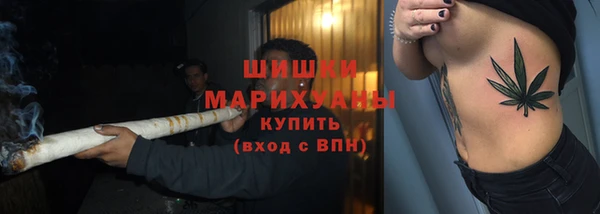 скорость Новозыбков