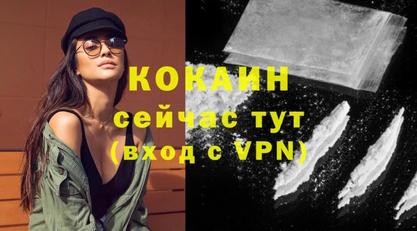 скорость Новозыбков