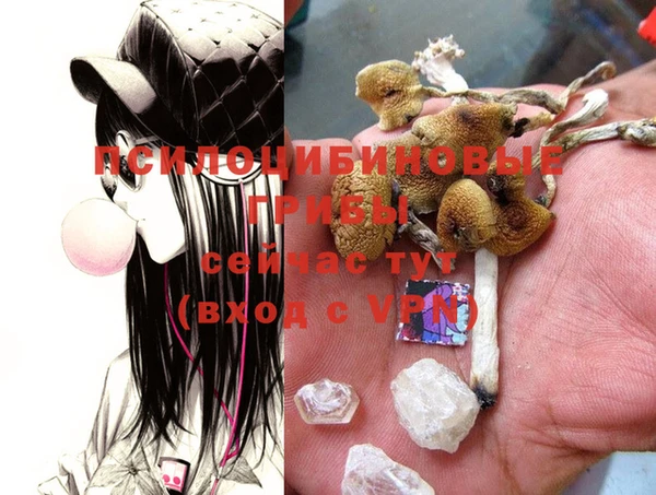 скорость Новозыбков