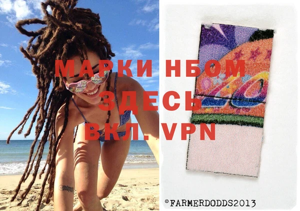 скорость Новозыбков